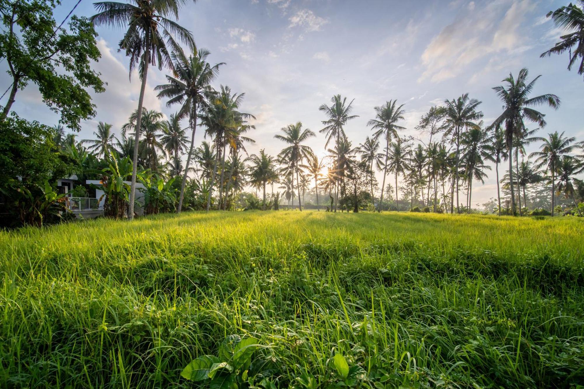 Casa Estrella - Luxe In Ubud Экстерьер фото